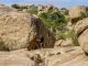 hampi climbing