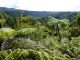 Waitakere Ranges