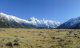 Mt cook