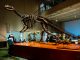 brisbane muzeum dinozaury