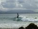 byron bay surfing