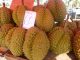 durian